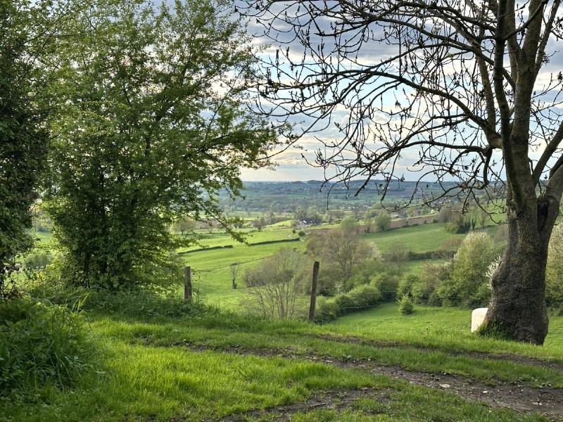View from the site